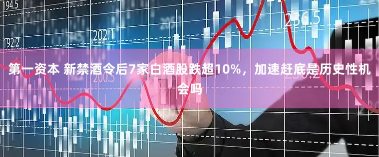 第一资本 新禁酒令后7家白酒股跌超10%，加速赶底是历史性机会吗