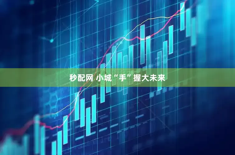 秒配网 小城“手”握大未来