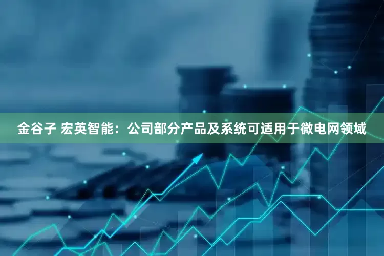 金谷子 宏英智能：公司部分产品及系统可适用于微电网领域
