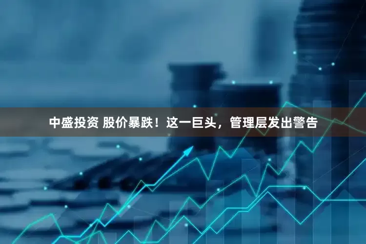 中盛投资 股价暴跌！这一巨头，管理层发出警告
