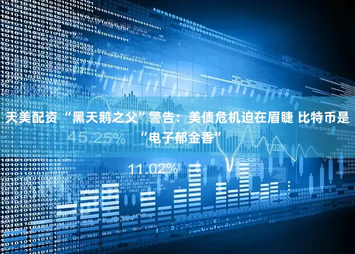 天美配资 “黑天鹅之父”警告：美债危机迫在眉睫 比特币是 “电子郁金香”