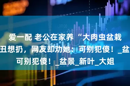 爱一配 老公在家养 “大肉虫盆栽”？女子觉得丑想扔，网友却劝她：可别犯傻！_盆景_新叶_大姐