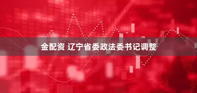 金配资 辽宁省委政法委书记调整