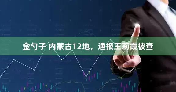 金勺子 内蒙古12地，通报王莉霞被查