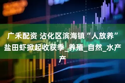 广禾配资 沾化区滨海镇“人放养”盐田虾掀起收获季_养殖_自然_水产