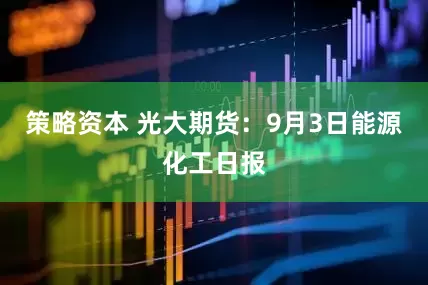 策略资本 光大期货：9月3日能源化工日报