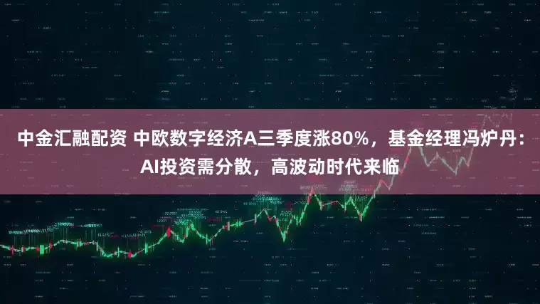 中金汇融配资 中欧数字经济A三季度涨80%，基金经理冯炉丹：AI投资需分散，高波动时代来临