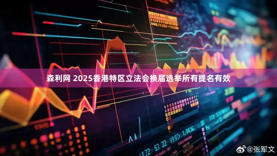 森利网 2025香港特区立法会换届选举所有提名有效
