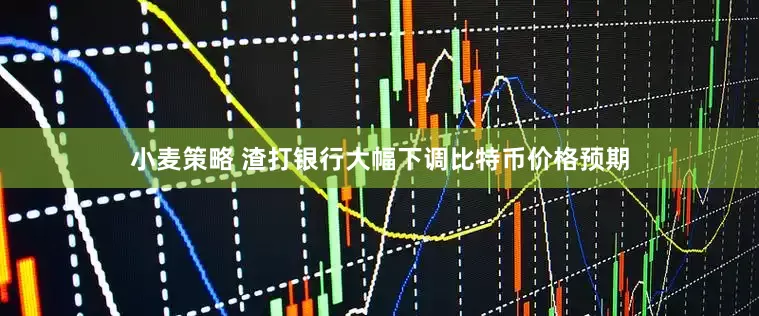 小麦策略 渣打银行大幅下调比特币价格预期