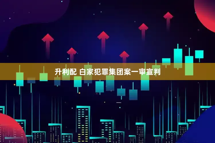 升利配 白家犯罪集团案一审宣判